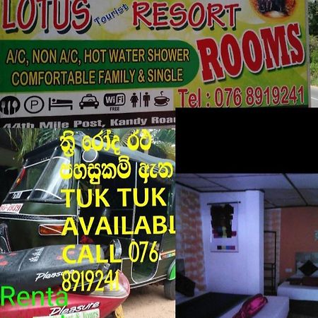 Lotus Inn Tourist Resort Dambulla Exterior photo